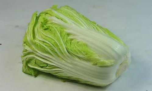 娱乐吃瓜姐白菜,白菜带你领略娱乐圈的瓜田乐趣