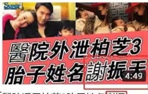 娱乐吃瓜名字怎么取,揭秘明星幕后故事