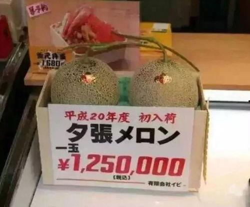 吃瓜群众娱乐大百科