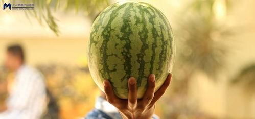 今年娱乐的吃瓜事件,2023年度娱乐圈爆笑吃瓜大盘点