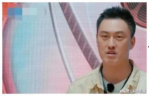 娱乐圈吃瓜爆料广告,揭秘明星幕后那些事！