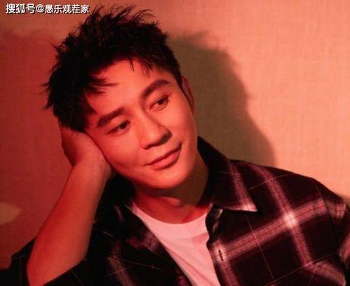 娱乐吃瓜鹅李晨,娱乐吃瓜界的“鹅”中翘楚