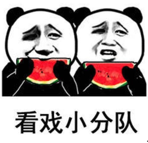 吃瓜娱乐图片搞笑可爱,搞笑可爱吃瓜瞬间，带你领略欢乐时光