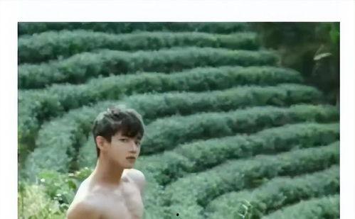 娱乐吃瓜酱毛骨悚然,揭秘毛骨悚然的幕后真相